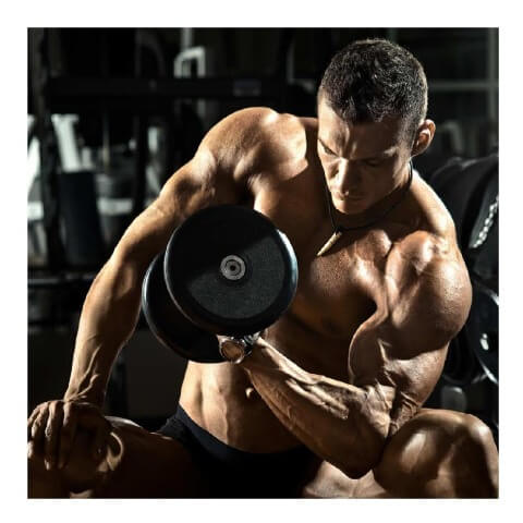 Bodybuilding Three Month Transformation Program