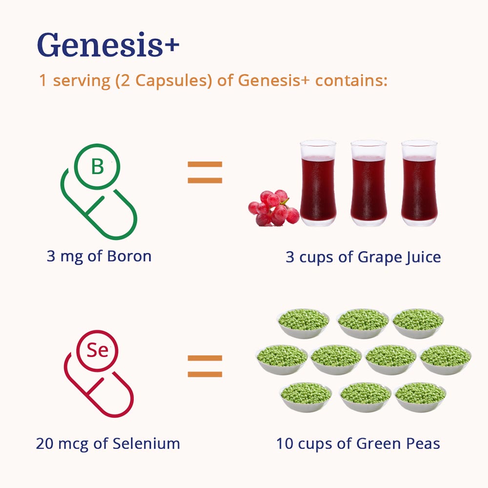 5 - ForMen Genesis+,  60 capsules 