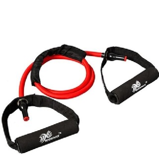 Technix Resistance Tube, Red & Black Free Size
