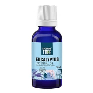 Speaking Tree Eucalyptus Essential Oil, 30 ml 100% Pure & Natural
