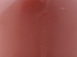 Hezelnut 113