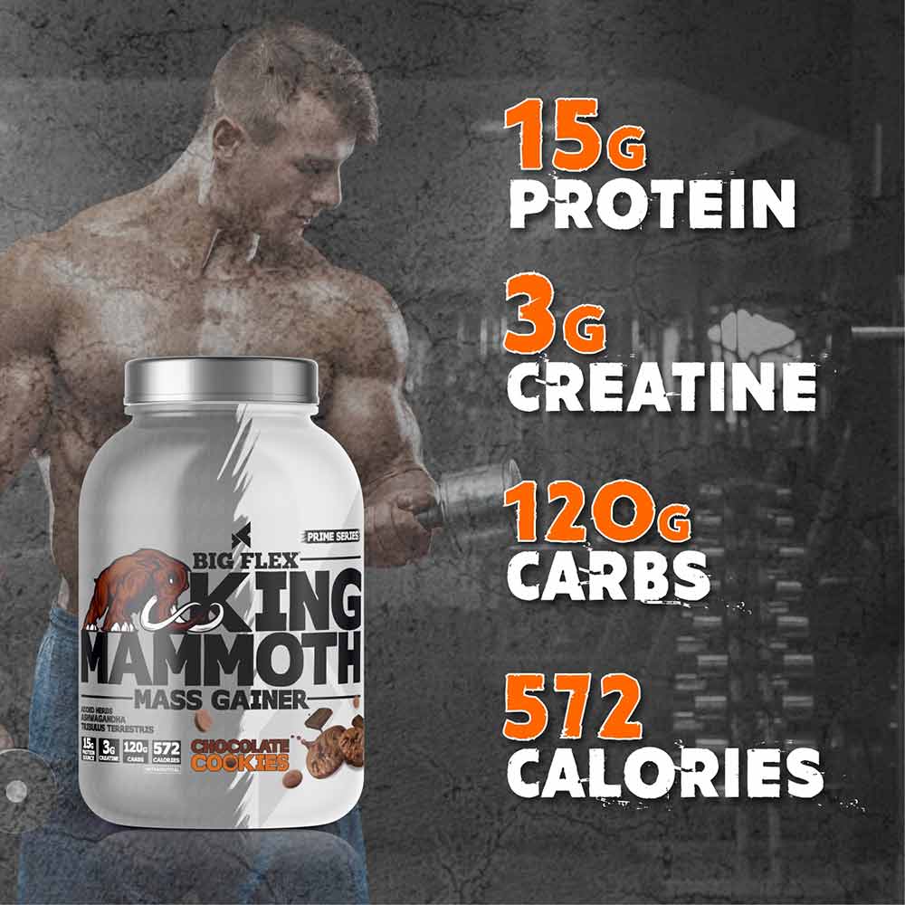 6 - Big Flex King Mammoth Mass Gainer,  6.6 lb  Chocolate Cookies 