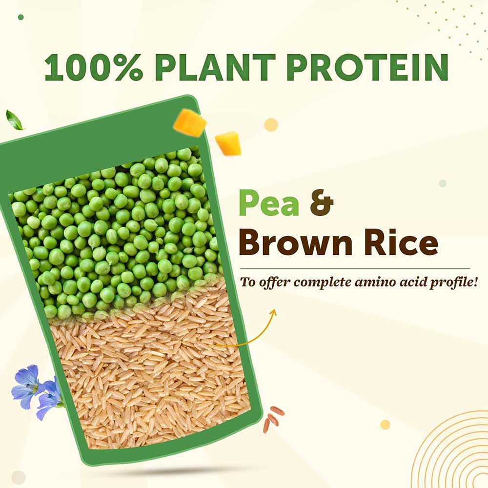 3 - Neuherbs True Plant Protein with Omega-3,  1.1 lb  Mango 