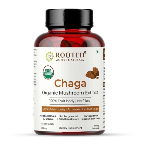 1 - Rooted Active Naturals Chaga Organic Mushroom Extract, 90 veggie capsule(s)