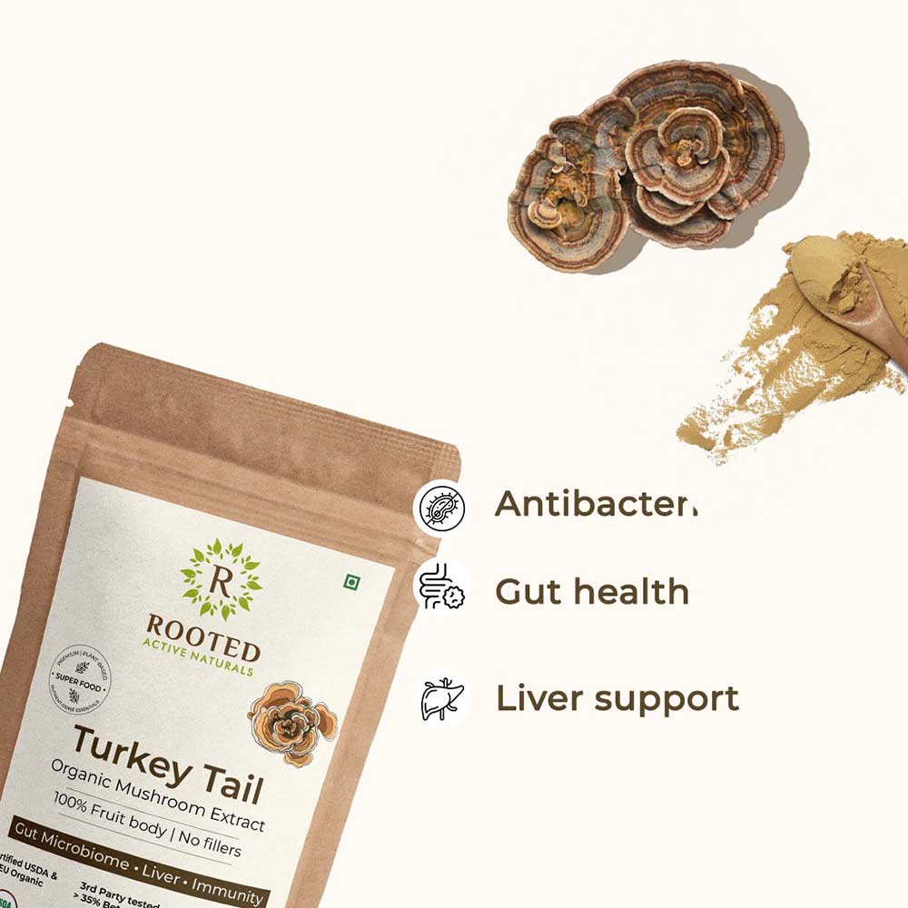 4 - Rooted Active Naturals Turkey Tail Organic Mushroom Extract,  60 g 