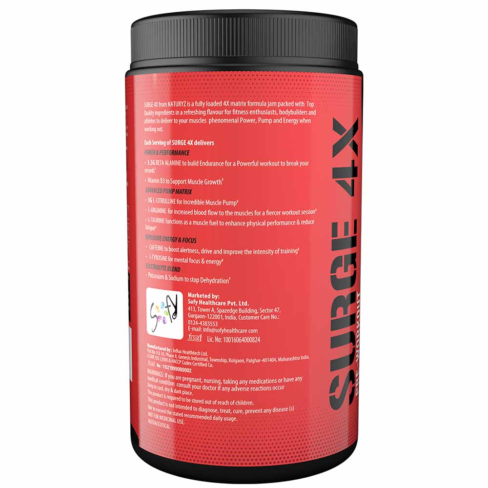 2 - Naturyz Surge 4X Pre-Workout,  0.88 lb  Mix Fruit Fusion 