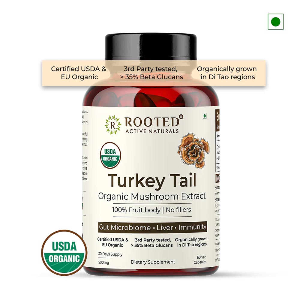 2 - Rooted Active Naturals Turkey Tail Organic Mushroom Extract,  60 veggie capsule(s) 
