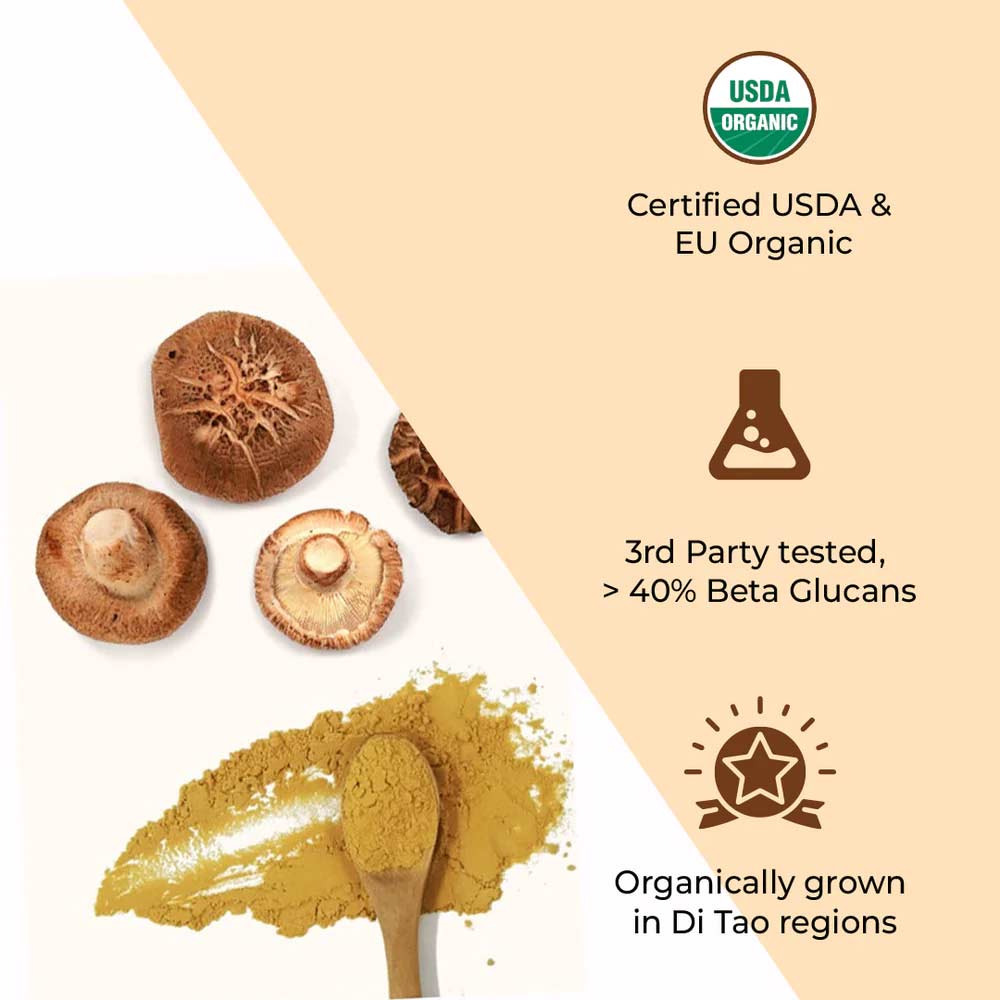 3 - Rooted Active Naturals Shiitake Organic Mushroom Extract,  120 g 