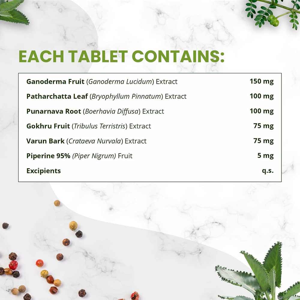 5 - Himalayan Organics Plant Based Kidney Detox,  60 tablet(s) 