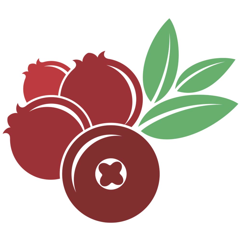 4 - Eatriite American Dried Cranberries,  200 g 