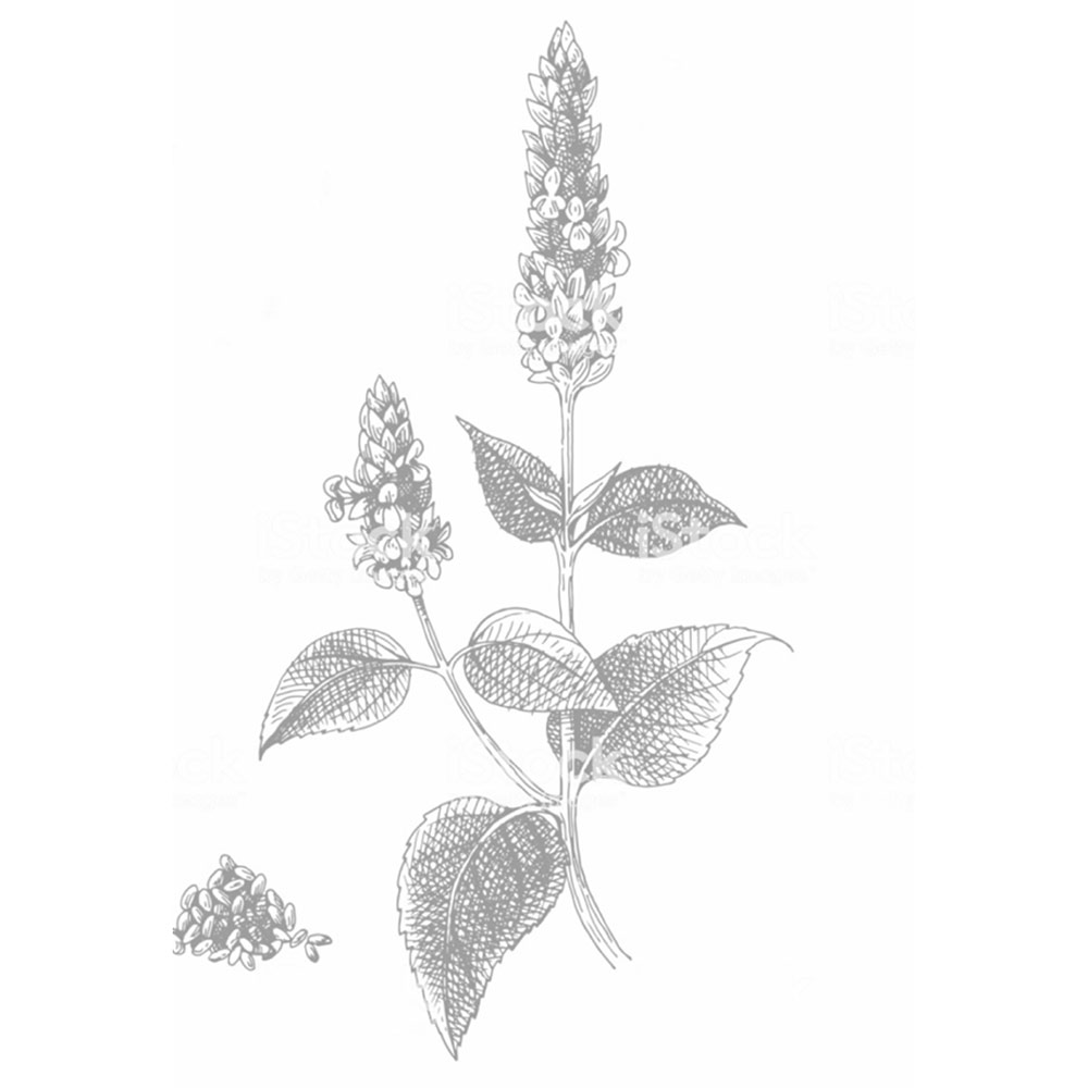 5 - Eatriite Chia Seeds,  200 g  Unflavoured 