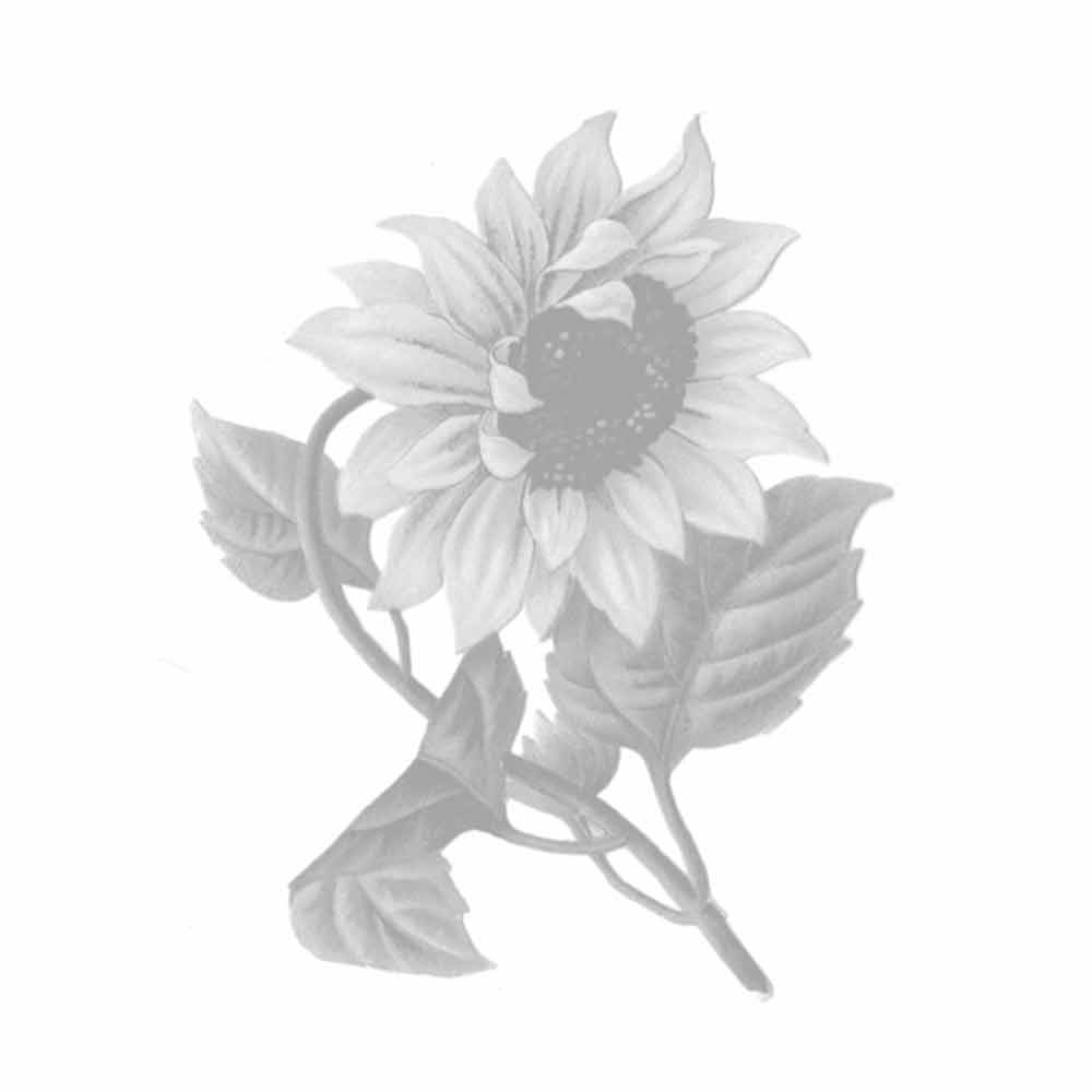 6 - Eatriite Roasted Sunflower Seeds,  Unflavoured  200 g 