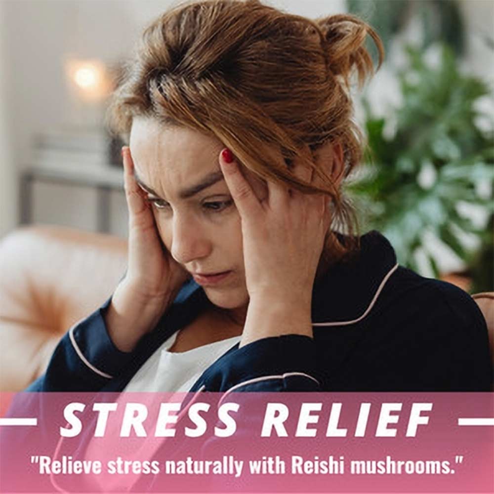 3 - Humming Herbs Organic Reishi Mushroom Blend,  180 capsules 