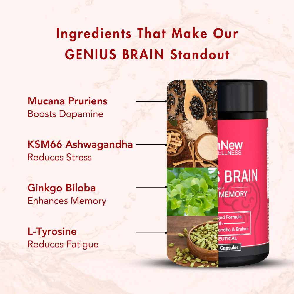 3 - WishNew Wellness Genius Brain,  60 capsules 
