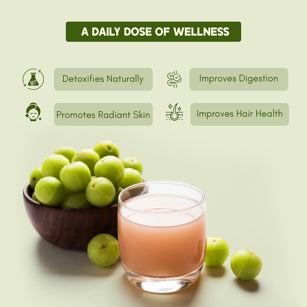 2 - Rasayanam Pure Amla Juice,  Natural  750 ml 