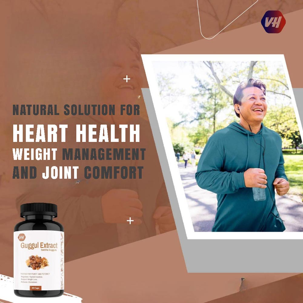 3 - Vitaminhaat Guggul Extract Suddha Guggulu,  60 capsules 