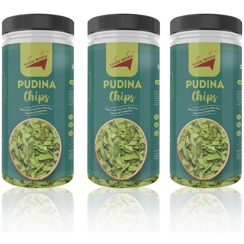 1 - TOKU MOKU Tasty & High Protein Pudina Chips, Masala Punch (Pack of 3) 150 g
