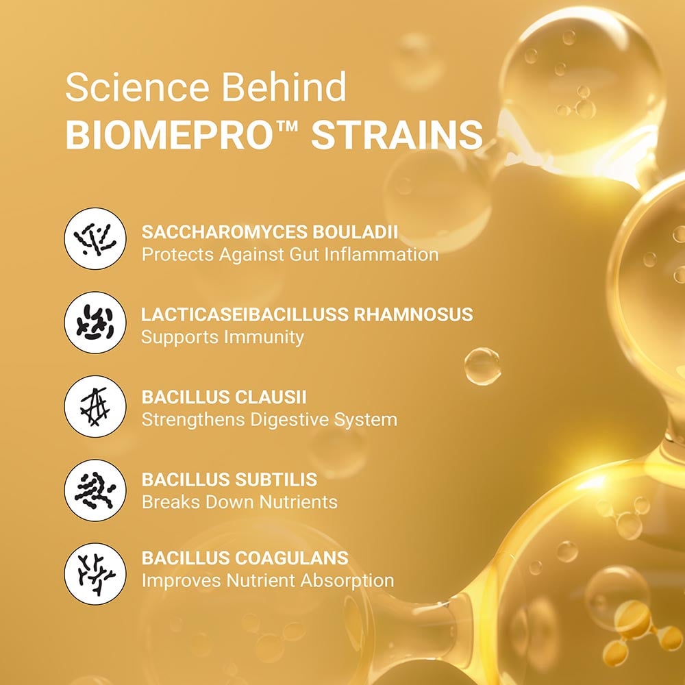 3 - MuscleBlaze Biozyme Gold 100% Whey,  8.8 lb  Double Rich Chocolate