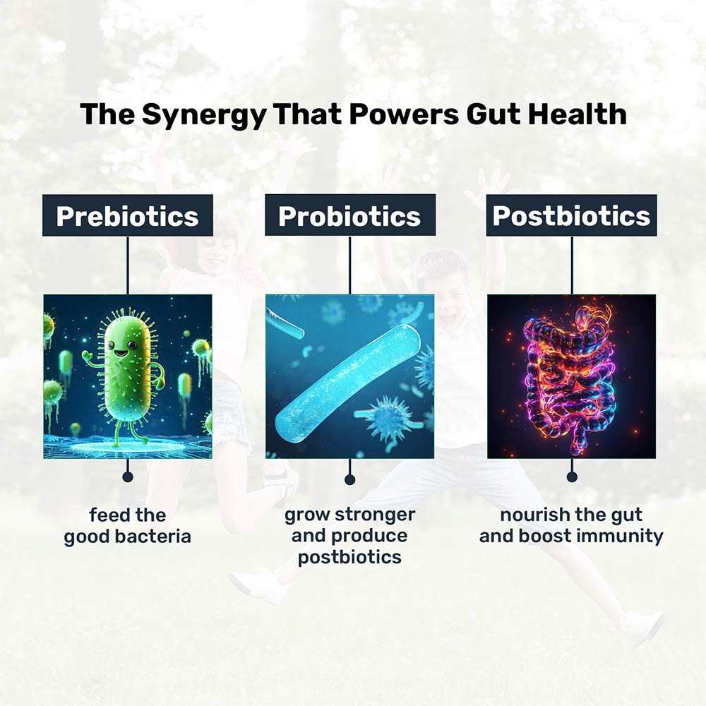 4 - Miduty Probiotics+ (For Kids),  30 sachets/pack  Unflavoured 