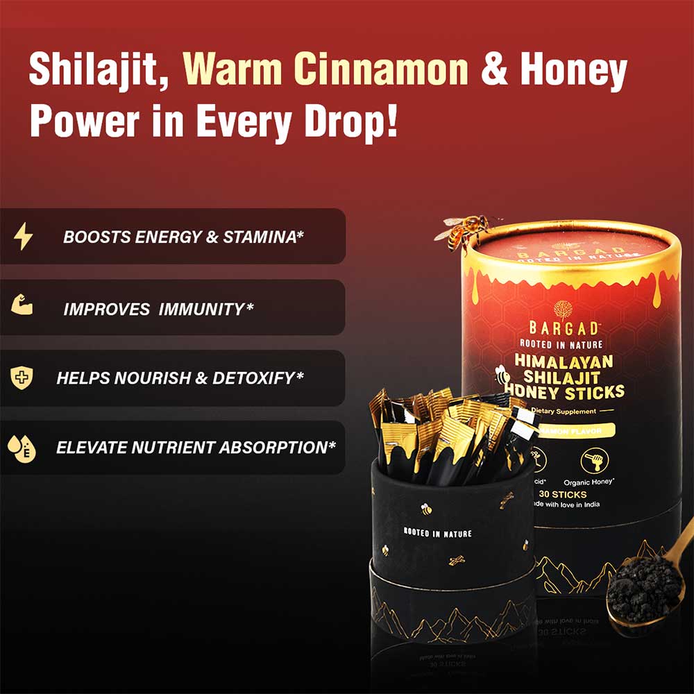 4 - Bargad Himalayan Shilajit Honey Sticks Cinnamon Flavour,  30 Stick(s) 