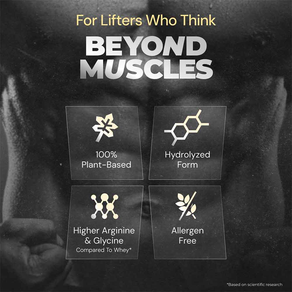 4 - Nutrabay Gold Pea Protein,  1.1 lb  Rich Chocolate Creme 