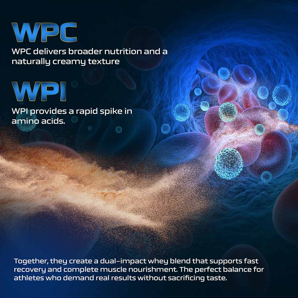 3 - Ronnie Coleman Signature Series King Whey Protein,  5 lb  Chocolate Brownie