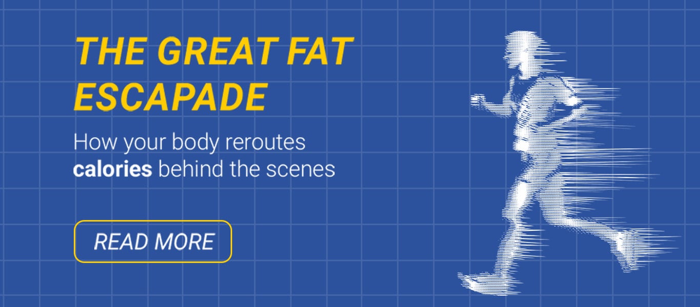 Blog: Why You Work Harder and Still Have Fat