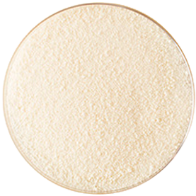 Marine Collagen Peptides