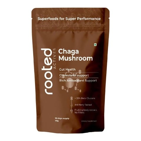 1 - Rooted Active Naturals Chaga Mushroom Extract Powder, 60 g