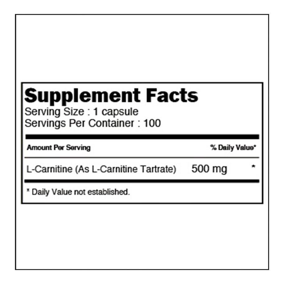 L Carnitine X500 at Best Price in India
