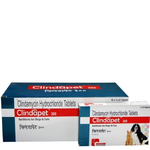Dosch Clindapet Antibiotic Tab For Dog & Cat,  Antibiotic Tab  6 tab 