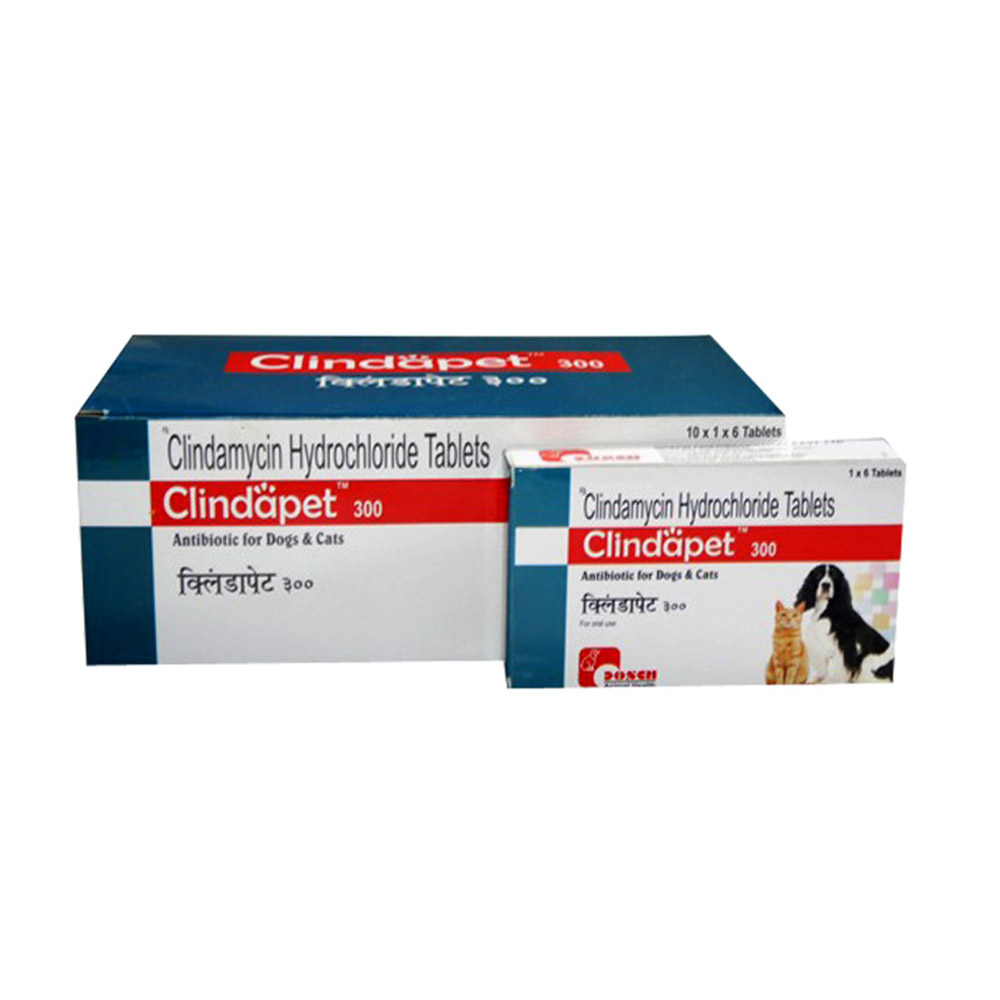 Dosch Clindapet Antibiotic Tab For Dog & Cat,  Antibiotic Tab  6 tab 