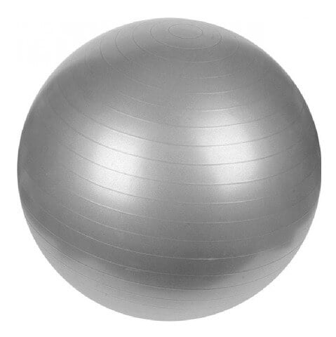B Fit USA Anti-Burst Gym Ball with Pump (3629), Silver 65 cm B Fit USA Anti-Burst Gym Ball with Pump (3629), Silver 65 cm