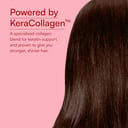 6 - HK Vitals Hair Nourish Collagen,  Marine Collagen  250 g  Orange