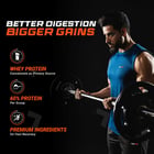 3 - Fuel One Whey Protein Powder,  2 lb  Rich Chocolate