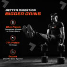 5 - Fuel One Whey Max,  2.2 lb  Chocolate
