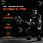 4 - Fuel One Whey Max,  2.2 lb  Vanilla