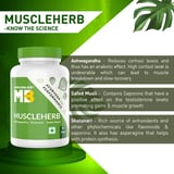 https://img4.hkrtcdn.com/13505/prd_1350433-MuscleBlaze-Ayurveda-for-Performance-MuscleHerb-with-Ashwagandha-Shatavari-Safed-Musli-60-tablets-Unflavoured_o.jpg