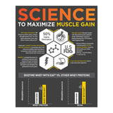 https://img4.hkrtcdn.com/45127/prd_4512653-MuscleBlaze-Biozyme-Whey-PR-2.2-lb-Chocolate-Fudge_o.jpg