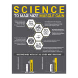 https://img4.hkrtcdn.com/45225/prd_4522483-MuscleBlaze-Biozyme-Performance-Whey-2.201-lb-Rich-Chocolate_o.jpg