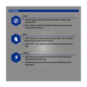 Features - TrueBasics CoQ 10 AntiOxidant with 120mg of Kaneka Q10, 60 tablet(s)