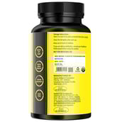 back - Absolute Nutrition L Carnitine L Tartrate, 120 capsules Unflavoured