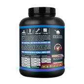 Vigour Fuel Iso Plus Whey Protein,  2.2 lb  Banana Smoothie 