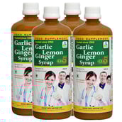 1 - SKSB GLG5 Garlic Lemon Ginger Syrup Pack of 4,  525 ml 