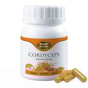 CordyGold Cordyceps Mycelium,  30 capsules 
