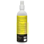 back - Safe & Sound 24Hrs. Surface Disinfectant,  Fragrance Free  400 ml  Instant Germ Kills 
