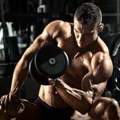 Bodybuilding Three Month Transformation Program