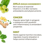 benfits - Akiva Vitamin C Amla Honey Ginger Pack of 30, Natural 40 ml