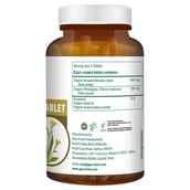 supplementinfo - Geo Fresh Selenat,  90 tablet(s) 