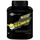 Protein Scoop Mass Gainer,  6.6 lb  Vanilla 